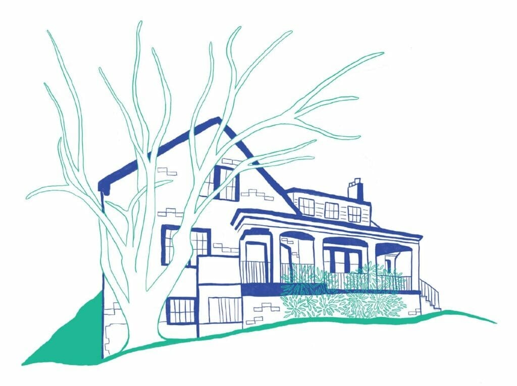 woodley-illustration